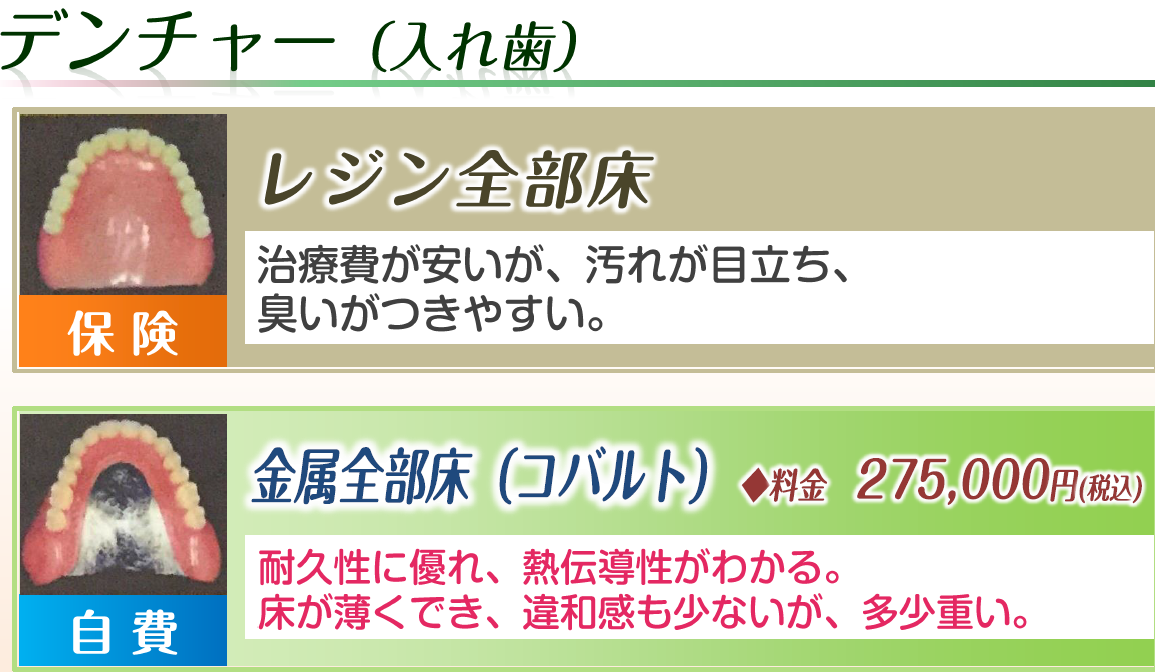 入れ歯（レジン全部床・金属全部床※コバルト）