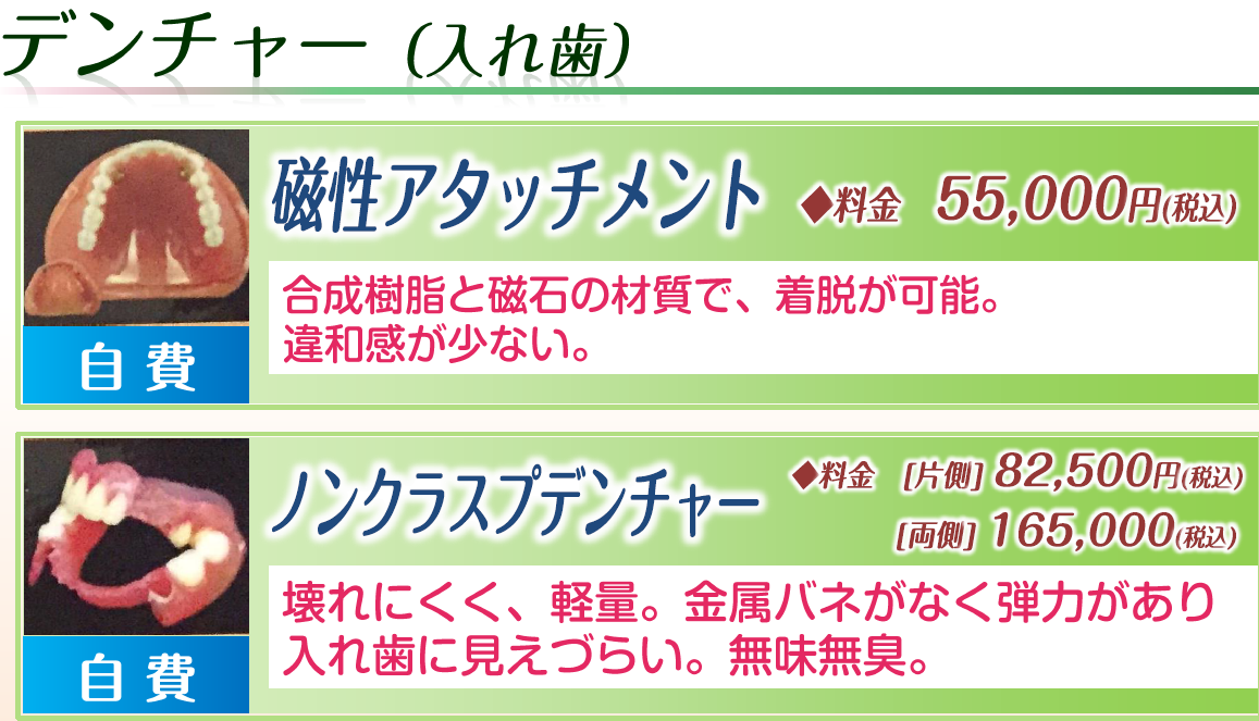 入れ歯（磁性アタッチメント・ノンクラスプデンチャー）
